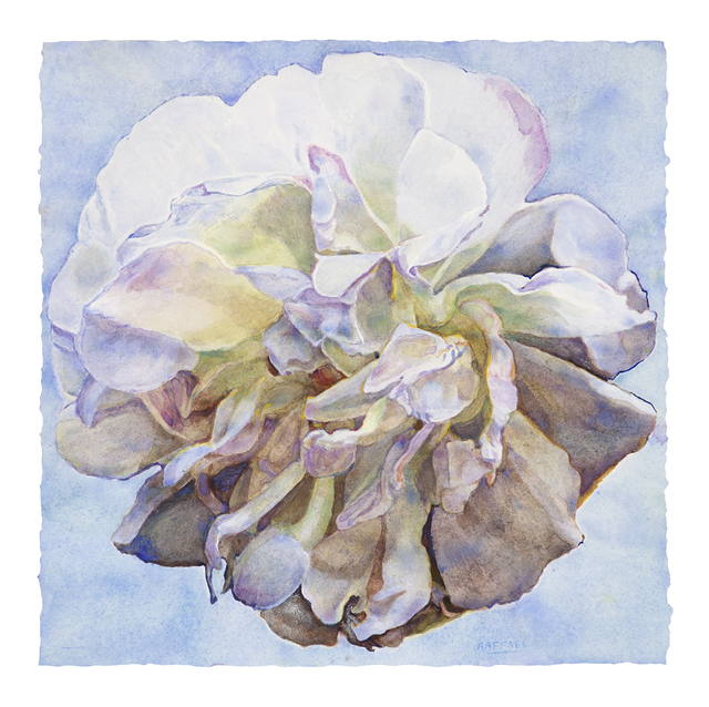 Joseph Raffael, ‘Elegy II’, 2019, Painting, Watercolor on paper, Nancy Hoffman Gallery