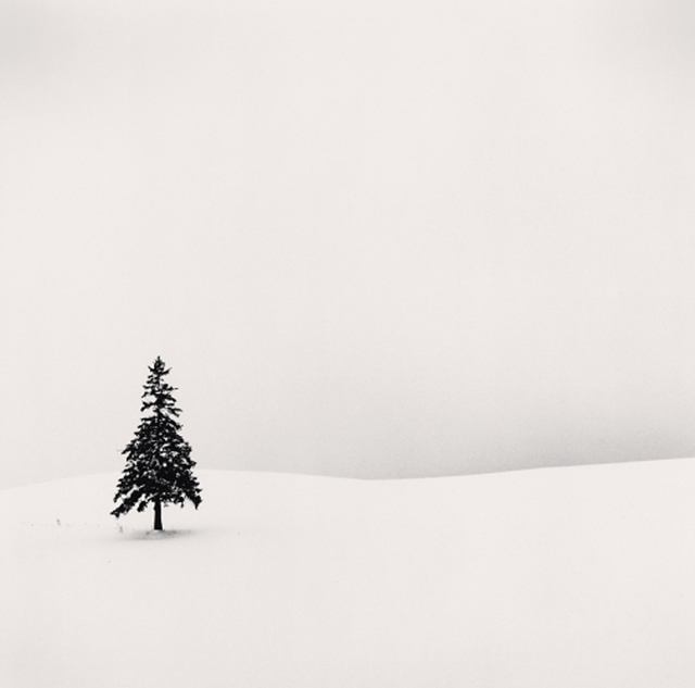 Michael Kenna, ‘Lone Tree, Bibaushi, Hokkaido, Japan’, 2004, Photography, Gelatin silver print, PDNB Gallery