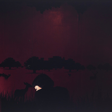 Hannah Starkey