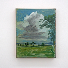 Brecht Koelman