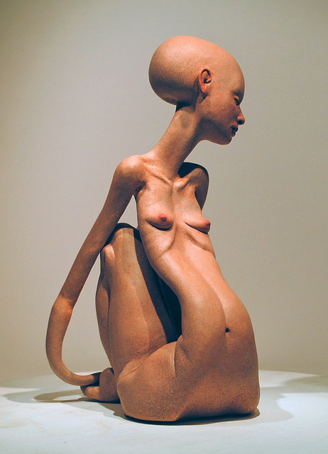 Brad Nelson