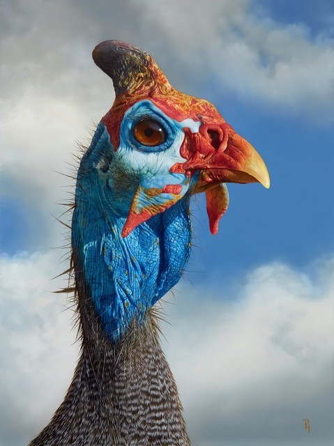 Peter Hohsl, ‘Fowl Mood’, Plus One Gallery