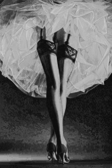 Alex Guofeng Cao, ‘Horst vs Degas’, 2010, Drawing, Collage or other Work on Paper, Chromogenic print with dibond plexiglass, FREMIN GALLERY