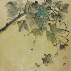 Hiroko Takeda (b. 1983)