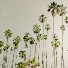 Christine Flynn