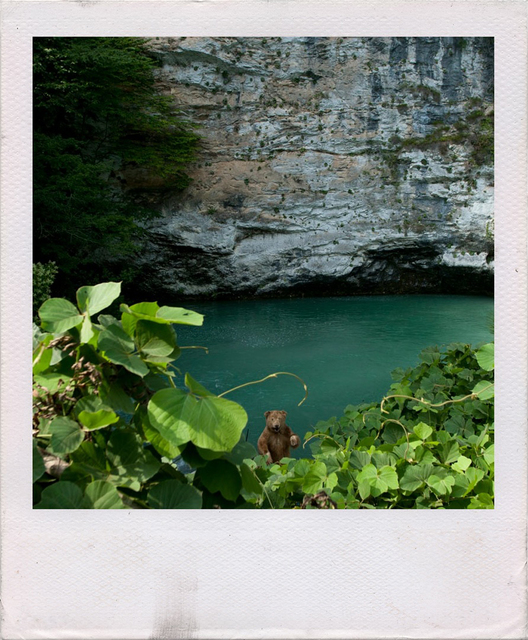 Thomas Dworzak, ‘Stuffed bear on the Road to Lake Ritsa’, 2012, Photography, Archival pigment print on aluminium plate, °CLAIRbyKahn Galerie