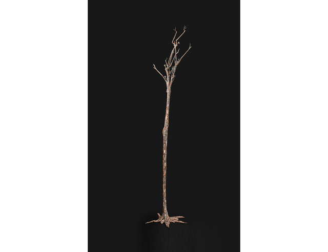 Ndary Lo, ‘Arbre’, 2009, Sculpture, Welded rebars, resin, PIASA