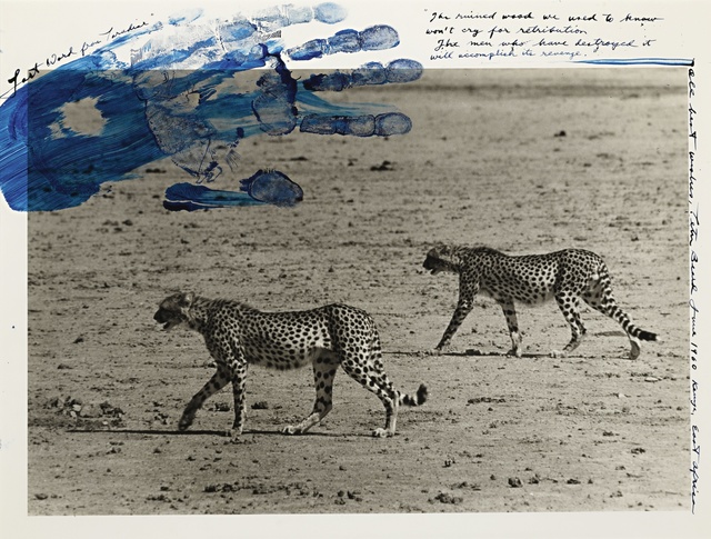 Peter Beard, ‘Hunting Cheetahs’, 1960, Sotheby's