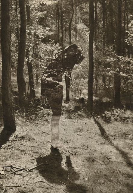 Ashkan Honarvar, ‘Crust-ch2-F3-8’, 2012, River