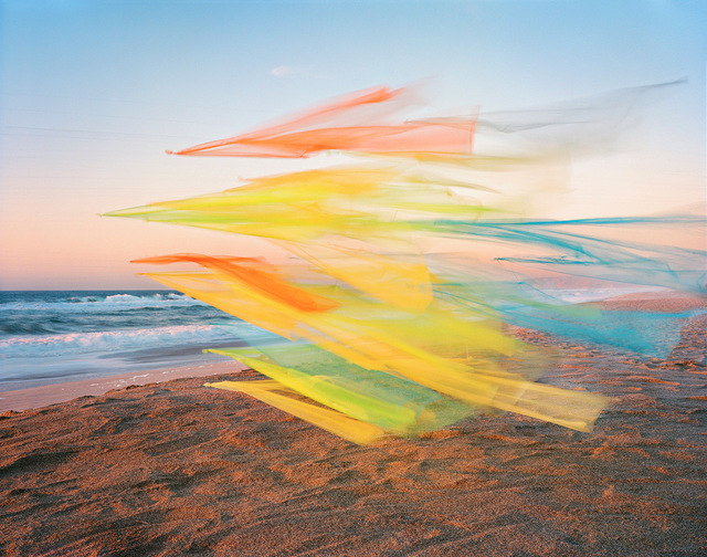 Thomas Jackson (b.1971), ‘Tulle no. 22, Point Reyes National Seashore, California’, 2020, Photography, Archival pigment print, Jackson Fine Art