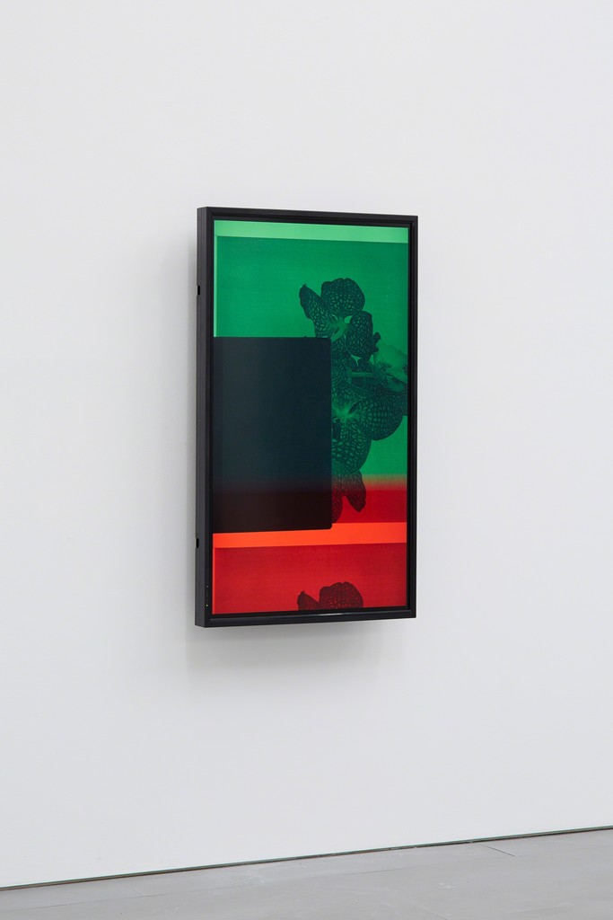 Maria Taniguchi, Untitled, 2015, Single channel video installation, 7:30 min
Exhibition view at carlier | gebauer, 2015
Maria Taniguchi, Untitled, 2015, Single channel video installation, 7:30 min
Exhibition view at carlier | gebauer, 2015