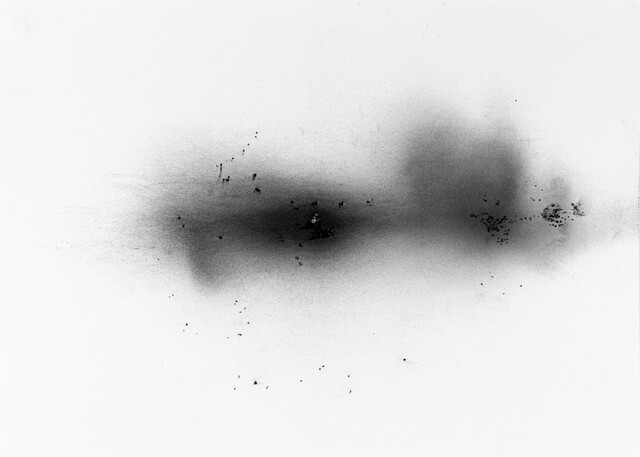 ''Dust'' Series — Çağla Köseoğulları (2023)