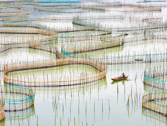 David Burdeny, ‘Nets 1, Fujian Provence, China’, 2017, Galerie de Bellefeuille