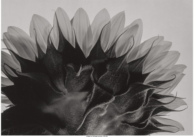 Yasuhiro Ishimoto, ‘A Group of Three Photographs of Flowers’, Heritage Auctions