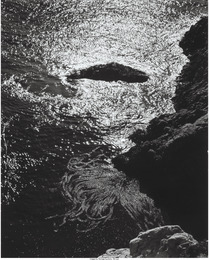 China Cove, Point Lobos