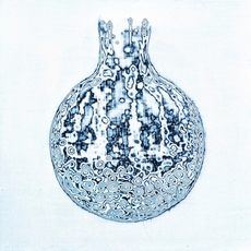 Kwang-Bum Jang