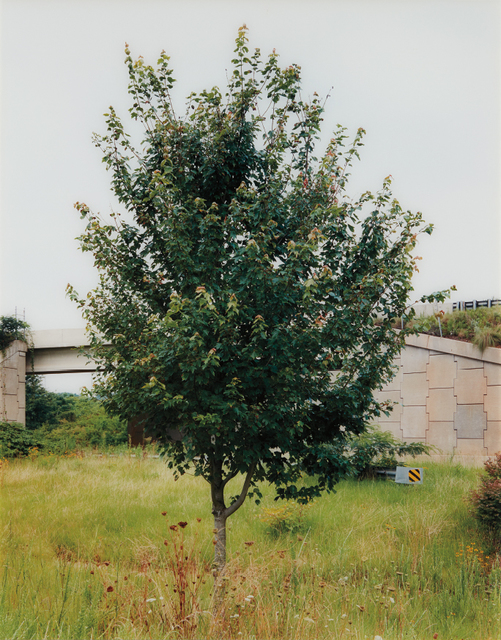 Roe Ethridge, ‘The Neutral Territory’, 1997, Print, Cibachrome print, Phillips