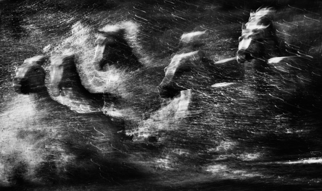 David Yarrow, ‘White Rush’, 2013, Photography, Archival Pigment Print, Hilton Asmus