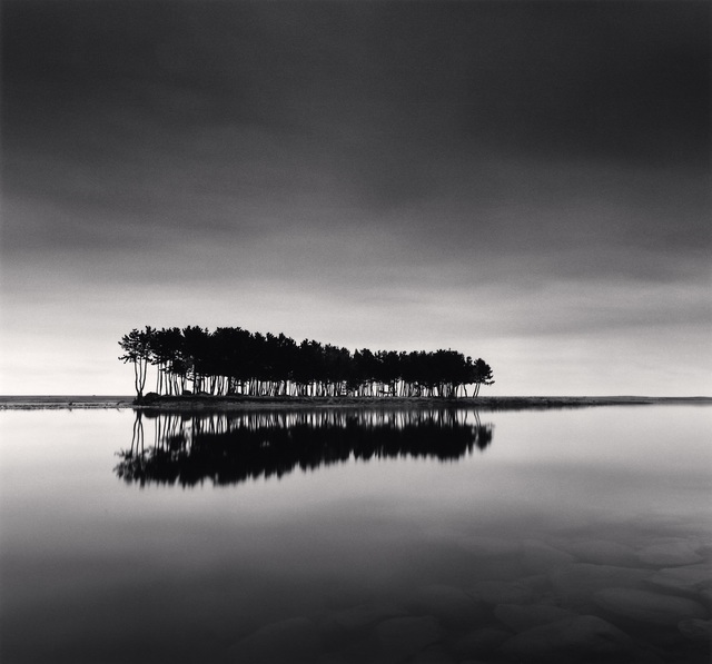 Michael Kenna, ‘Pine Trees, Study 1, Wolcheon, Gangwondo, South Korea. 2007’, 2007, Photography, Gelatin silver print, K.O.N.G. Gallery
