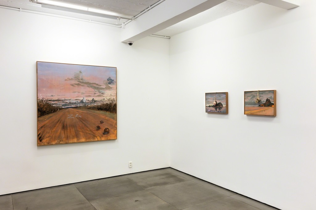 alberto baraya: estudios comparados de paisaje -- exhibition view -- galeria nara roesler | rio de janeiro 2018 -- photo © Pat Kilgore, courtesy of the artist and Galeria Nara Roesler alberto baraya: estudios comparados de paisaje -- exhibition view -- galeria nara roesler | rio de janeiro 2018 -- photo © Pat Kilgore, courtesy of the artist and Galeria Nara Roesler