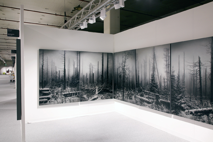 Nemora installation Nemora installation