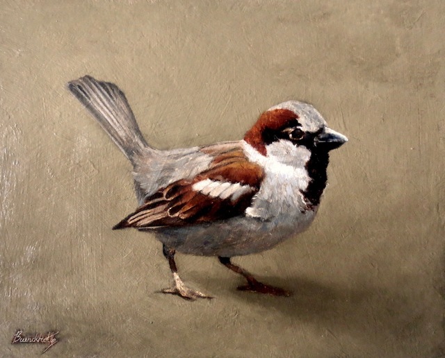 Henry Buerckholtz, ‘Sparrow Study #2’, 2020, Painting, Oil, The Galleries at Salmagundi