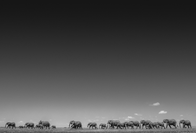 David Yarrow, ‘Life On Earth’, 2016, Fineart Oslo