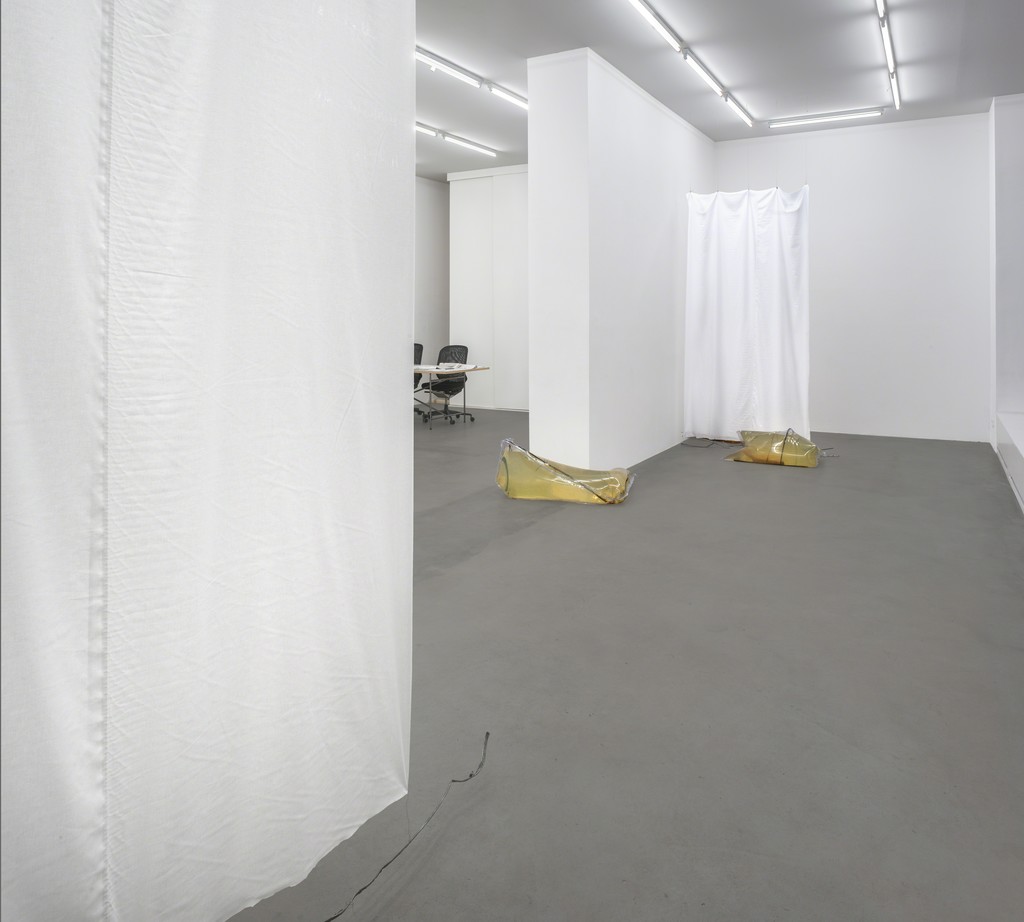 Installation view, Cannibals, 2015, Photocredit Joachim Schulz, Courtesy Croy Nielsen Installation view, Cannibals, 2015, Photocredit Joachim Schulz, Courtesy Croy Nielsen