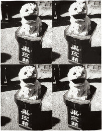 Chinese Stone Lion