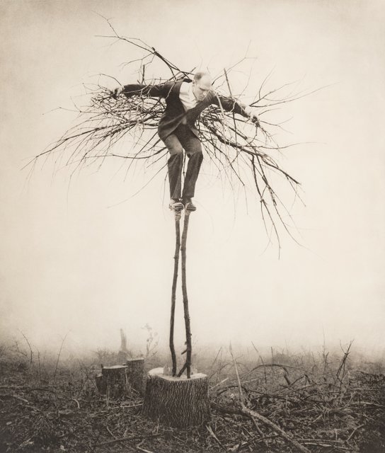 Robert ParkeHarrison - Artworks for Sale & More | Artsy