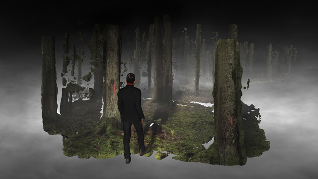 Persijn & Margit Broersen & Lukács, ‘Forest On Location’, 2018, Akinci