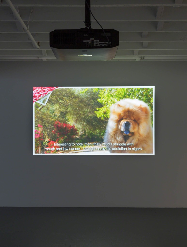 Installation view: Open Call – Web-Based Art, 2015. Courtesy of the Artists and ICA Miami. Photo: Silvia Ros Installation view: Open Call – Web-Based Art, 2015. Courtesy of the Artists and ICA Miami. Photo: Silvia Ros