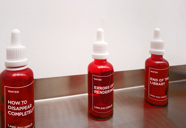 How to Disappear Completely? (Water) — Ludovic Bernhardt (2023)