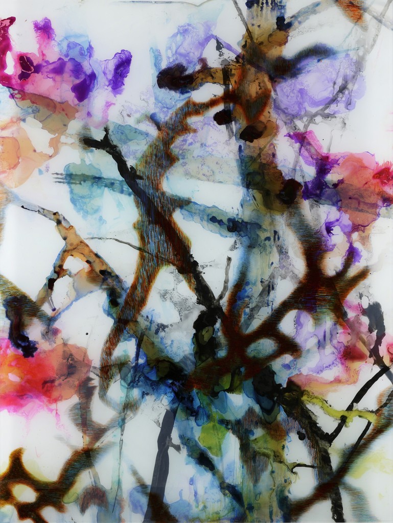 Carole Benzaken, Magnolias 23, 2015
Ink and pencils on glass
160 x 120 cm
Courtesy Galerie Nathalie Obadia Carole Benzaken, Magnolias 23, 2015
Ink and pencils on glass
160 x 120 cm
Courtesy Galerie Nathalie Obadia