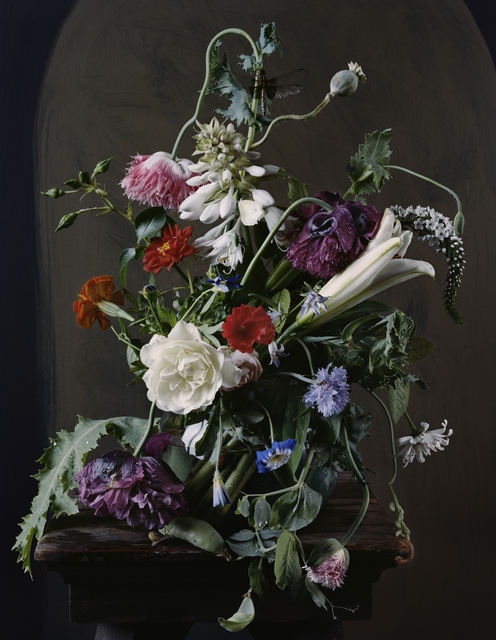 Sharon Core, ‘1720’, 2012, Yancey Richardson Gallery