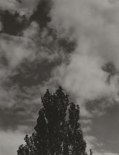Alfred Stieglitz, ‘Portrait - K. N. R., No. 6’, 1923, Print, Gelatin silver prints mounted on paperboard, Bowdoin College Museum of Art