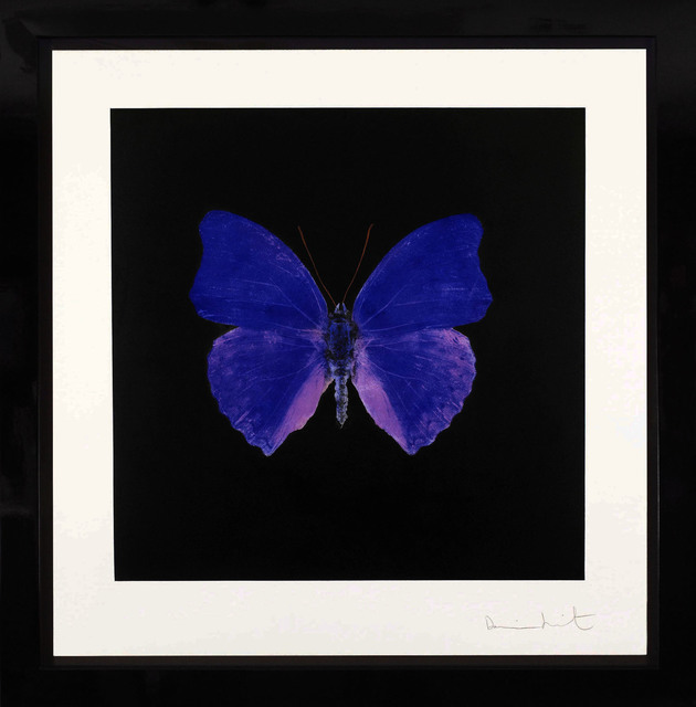 Damien Hirst | Butterfly Souls Etching, Cobalt (2007) | Artsy