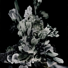 Maurice Scheltens & Liesbeth Abbenes