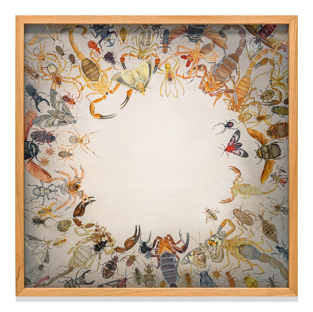 Tiffany Bozic, ‘Boundaries’, 2017, Kate Oh Gallery