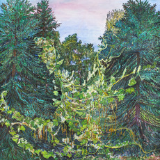 Nancy Friese
