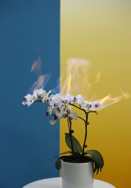 Jiang Zhi 蒋志, ‘love letters No.16’, 2011, Photography, Photograhy, Tang Contemporary Art