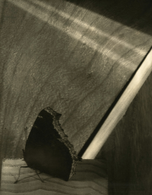 Edward Steichen, ‘Diagram of Doom’, ca. 1922, Howard Greenberg Gallery