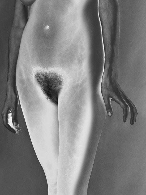 Mona Kuhn, ‘Bushes 4’, ca. 2014, Photography, Chromogenic metallic Dye Coupler Print, Galerie XII