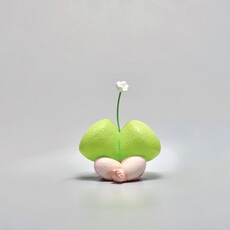 Pintong Huang