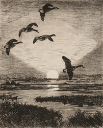 November Moon