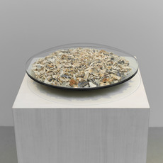 Agnes Denes