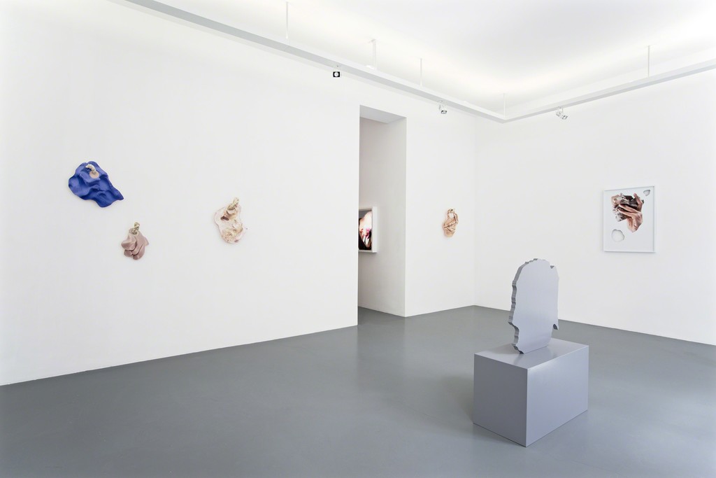 Rachel de Joode
Surfaces – Installation view, 2015 Rachel de Joode
Surfaces – Installation view, 2015