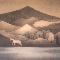Hong Tao Huang 黄红涛