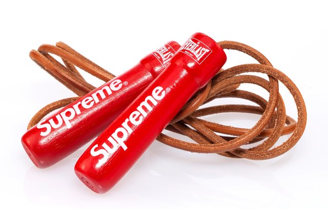 everlast skipping rope