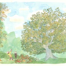 Aude Picault